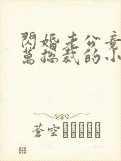 闪婚老公竟是亿万总裁的小说