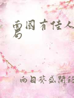 南国有佳人大结局