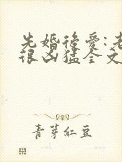 先婚后爱:老公很凶猛全文免费