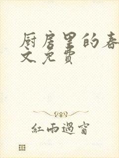 厨房里的春天全文免费