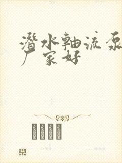 潜水轴流泵那个厂家好