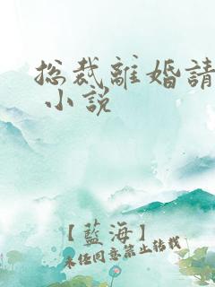 总裁离婚请签字 小说