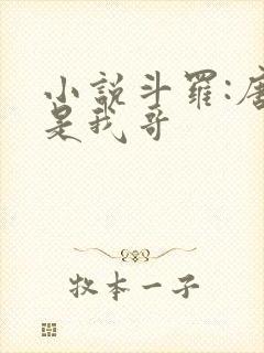 小说斗罗:唐三是我哥