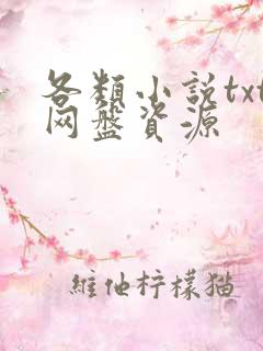 各类小说txt网盘资源