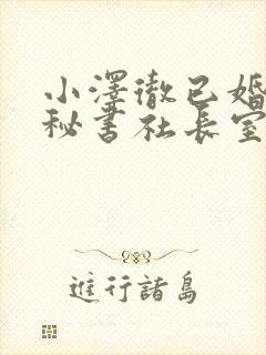 小泽彻已婚人妻秘书社长室