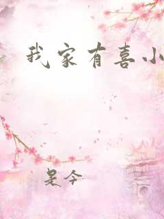 我家有喜小说