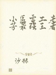 小区电工老周刘芳最强王者