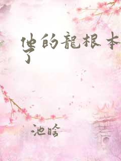 他的龙根本太大了