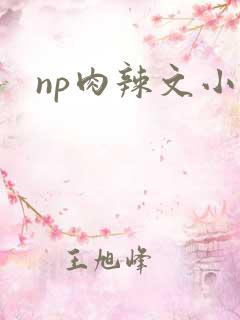 np肉辣文小说
