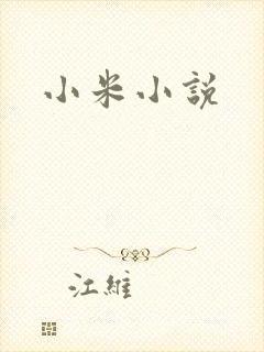 小米小说