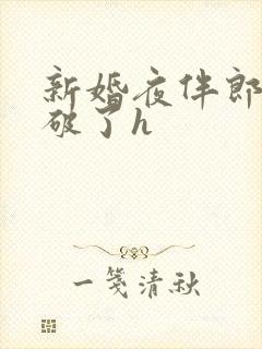 新婚夜伴郎把处破了h