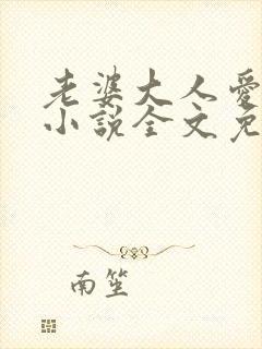 老婆大人爱上我小说全文免费阅读