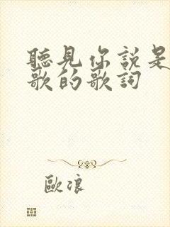 听见你说是哪首歌的歌词