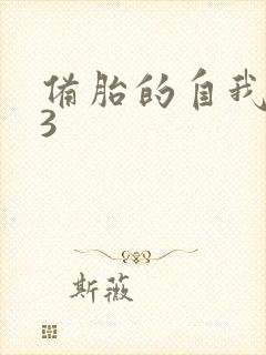 备胎的自我修养3