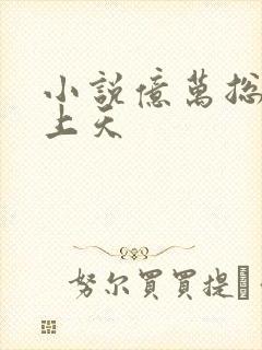 小说亿万总裁宠上天