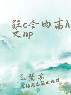 狂c全肉高h辣文np