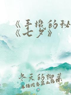 《手机的秘密》《七夕》