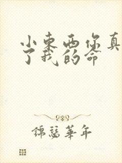 小东西你真能要了我的命