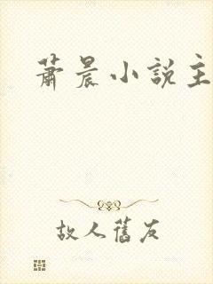 萧晨小说主角
