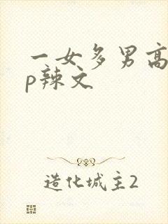 一女多男高hnp辣文