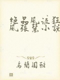 绝品风流狂医林风张慧小说全文阅读