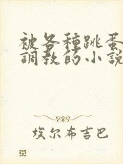 被各种跳蛋露出调教的小说