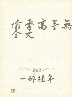 偷香高手无删减全文