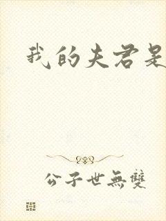 我的夫君是冥王