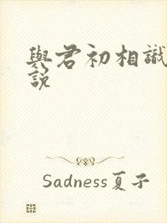 与君初相识 小说