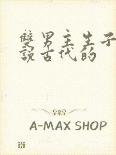 双男主生子文小说古代的