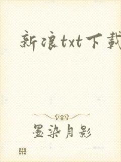 新浪txt下载