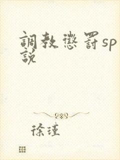 调教惩罚sp小说