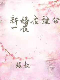 新婚夜被公干了一夜