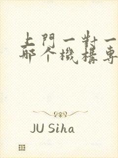 上门一对一辅导哪个机构专业