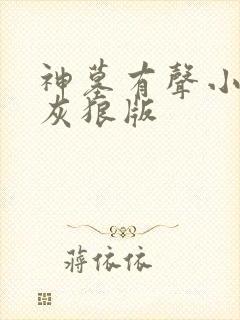 神墓有声小说大灰狼版