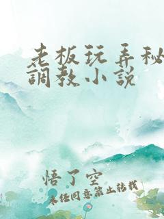 老板玩弄秘书h调教小说