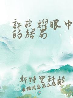 许我耀眼中乔琳的结局