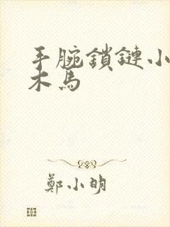 手腕锁链小黑屋木马