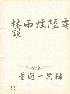 林雨烟陆霆琛小说