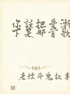 你说把爱渐渐放下是哪首歌的歌词