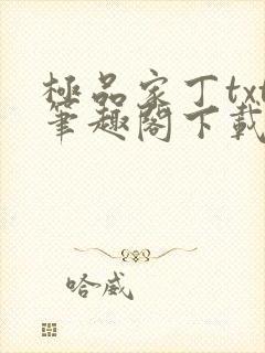 极品家丁txt笔趣阁下载