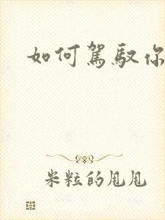 如何驾驭你的龙