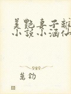 美艳妻子离婚后小说小涵仙txt