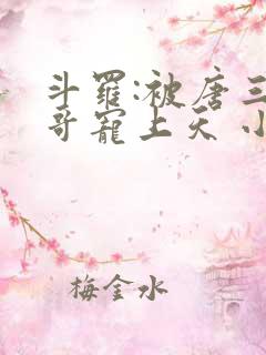 斗罗:被唐三哥哥宠上天 小说