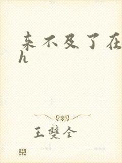 来不及了在车ch