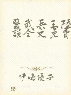 医武兵王陆轩小说全文免费