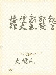 婚礼新郎致辞简短大气发言