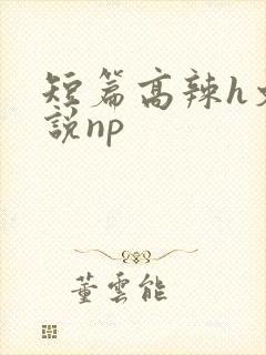 短篇高辣h文小说np