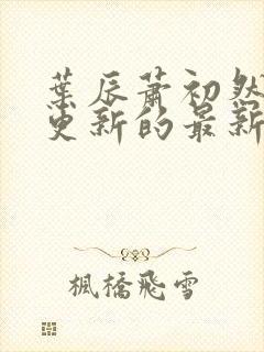 叶辰萧初然刚刚更新的最新章节