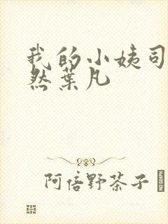 我的小姨司空嫣然叶凡